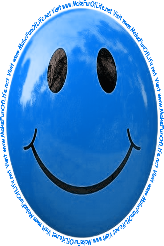 Picture of a blue smiley face and the words, 'Visit www.MakeFunOfLife.net.'