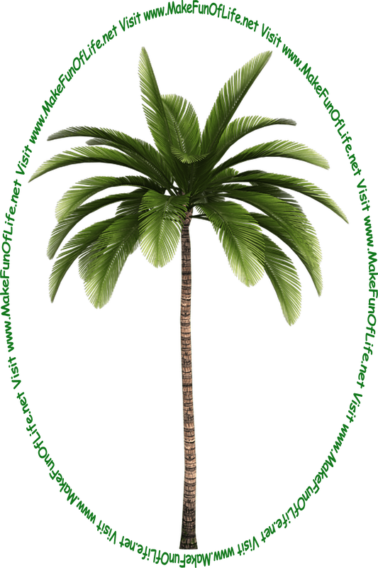 Picture of a tall leafy green palm tree and the words, 'Visit www.MakeFunOfLife.net.'