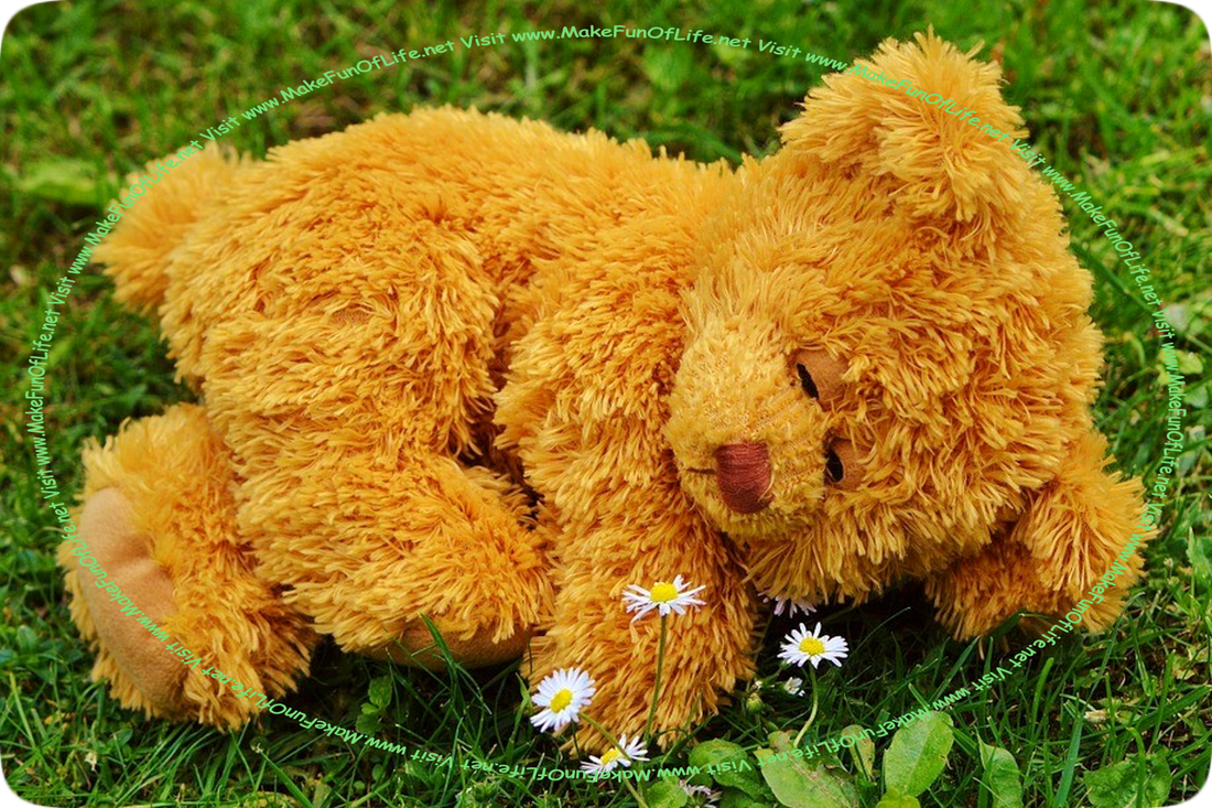Daytime picture of a golden-brown stuffed toy teddy bear with its eyes appearing to be closed, lying asleep on its side on top of green grass and daisy flowers with white petals and yellow centers growing near its front paws.