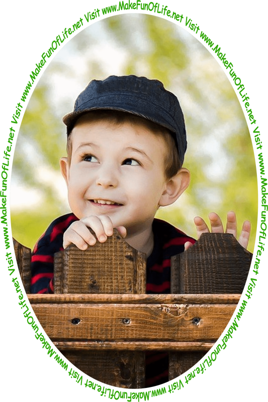 Picture of a boy looking over a wooden fence to see the words and pictures on the website, and the words, 'Visit www.MakeFunOfLife.net.'