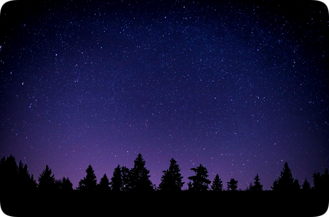 Picture of night sky filled with stars above a line of silhouetted trees.