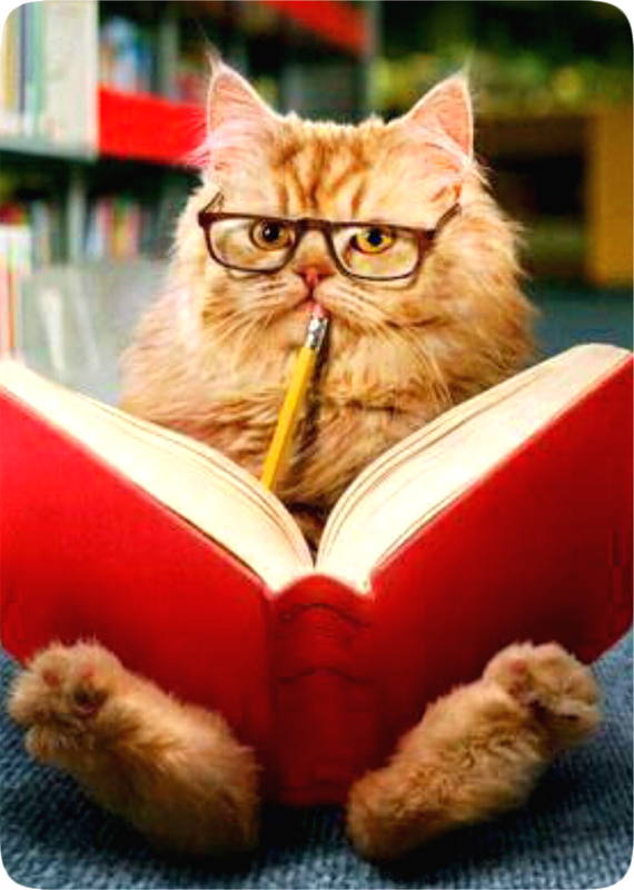 Picture of an orange Tabby Cat wearing eyeglasses while reading a book with a red cover and holding up a pencil as if thinking carefully.
