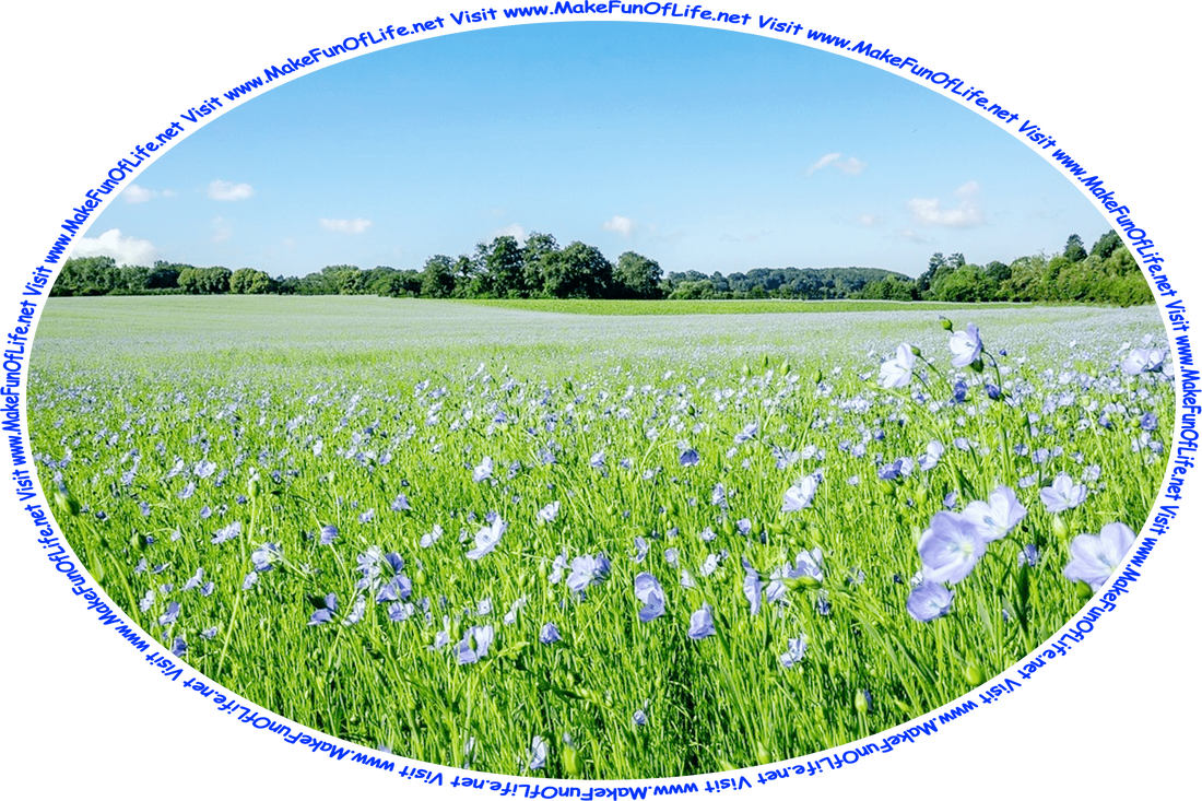 Picture of a meadow of flowering plants with blue blossoms, trees in the far background, a blue sky, a few tiny fluffy white clouds, and the words, ‘Visit www.MakeFunOfLife.net.’