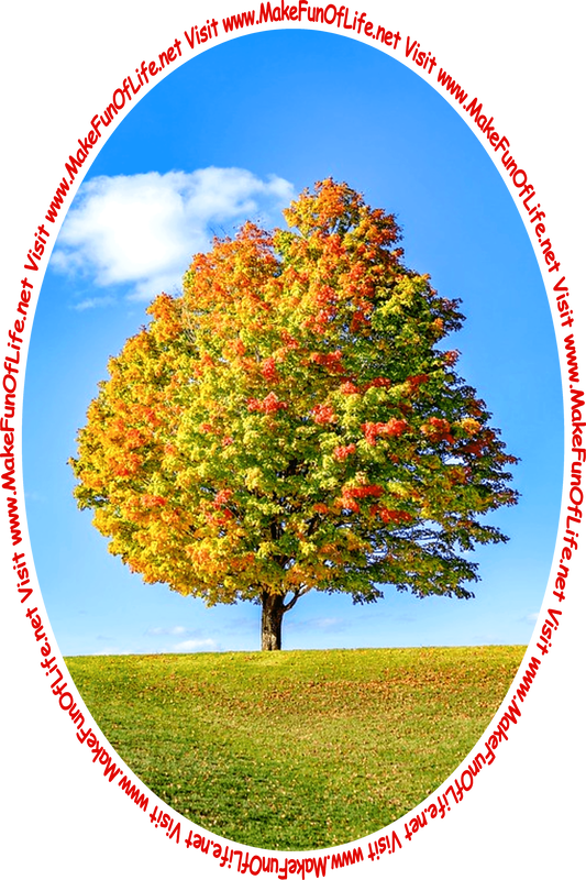 Picture of a tree in Autumn with leaves turning colors from green to orange and yellow and the words, 'Visit www.MakeFunOfLife.net.'