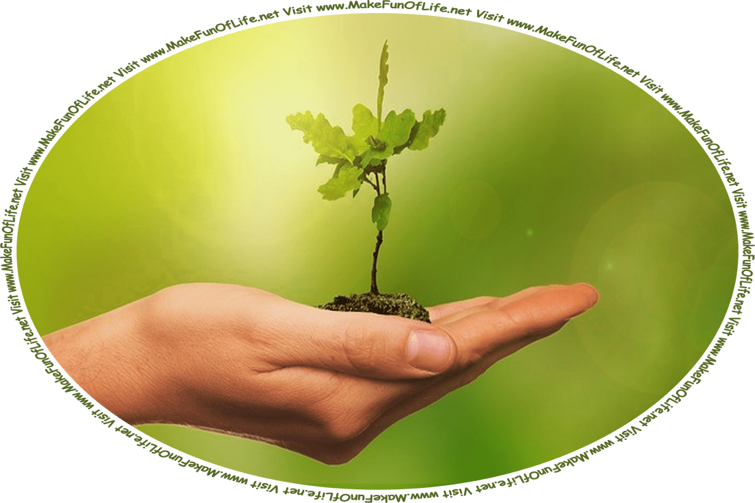 Picture of a human hand holding a clump of soil that has an oak tree sapling growing from it, and the words, ‘Visit www.MakeFunOfLife.net.’