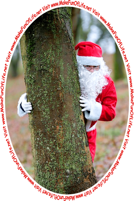 Picture of Santa Claus looking out from where he is hiding behind a tree while playing a game of hide-and-seek, and the words, 'Visit www.MakeFunOfLife.net.'