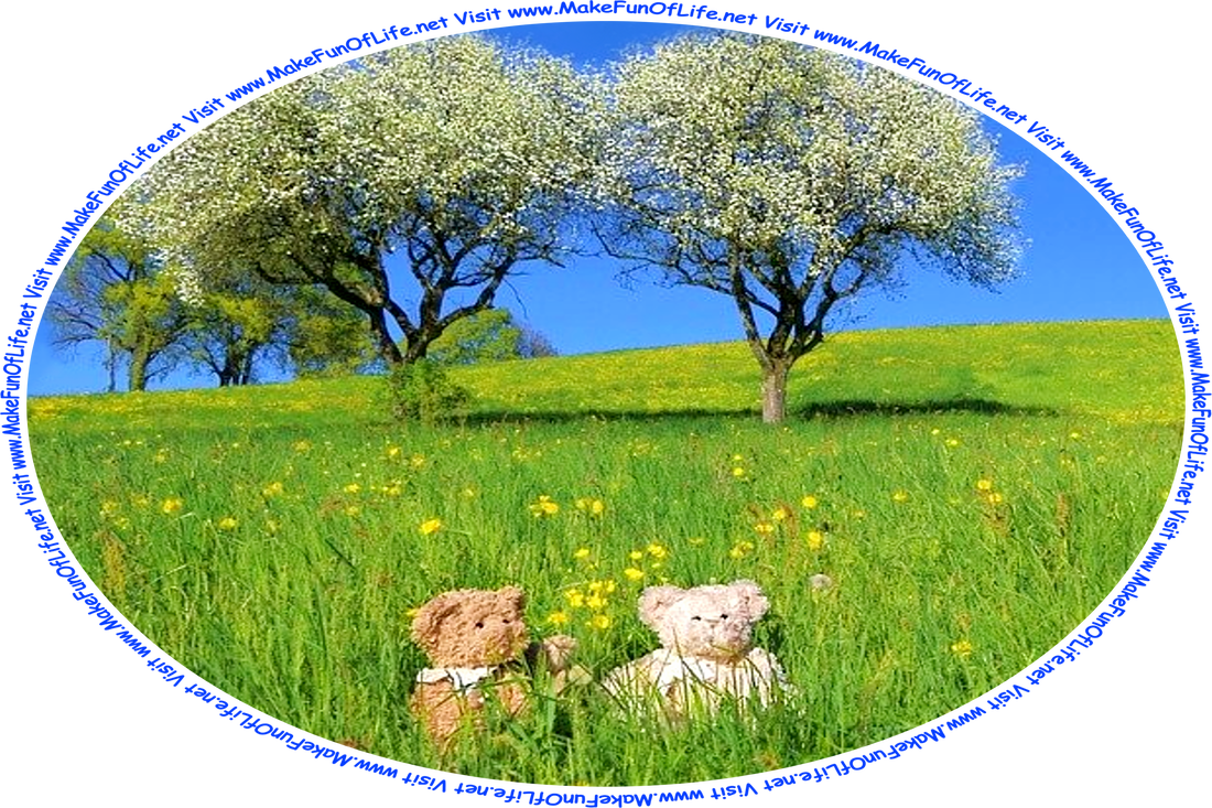 Picture of two teddy bears sitting in a meadow of green grass and yellow buttercups flowers, trees with white blossoms behind them, a clear blue sky overhead, and the words, ‘Visit www.MakeFunOfLife.net.’