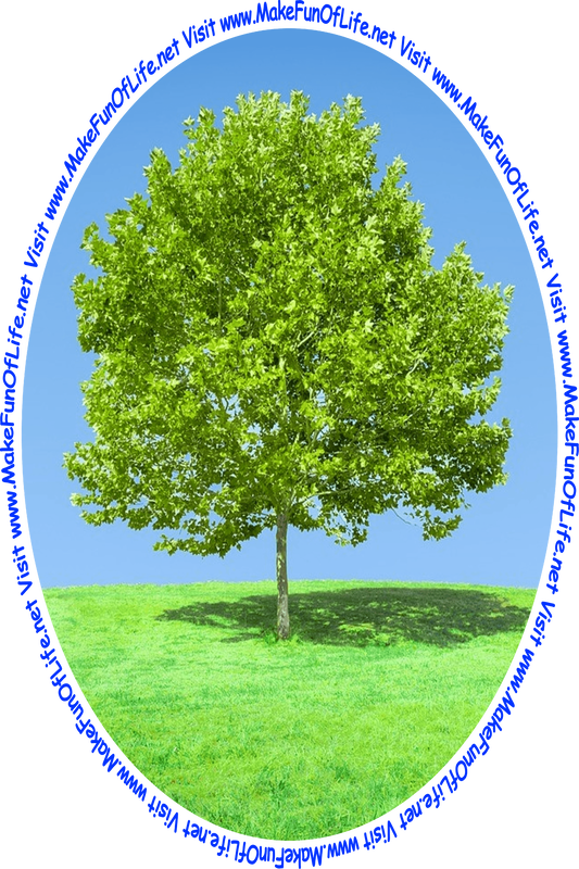 Picture of a green leafy tree in a green grassy field with a clear blue sky overhead and the words, 'Visit www.MakeFunOfLife.net.'