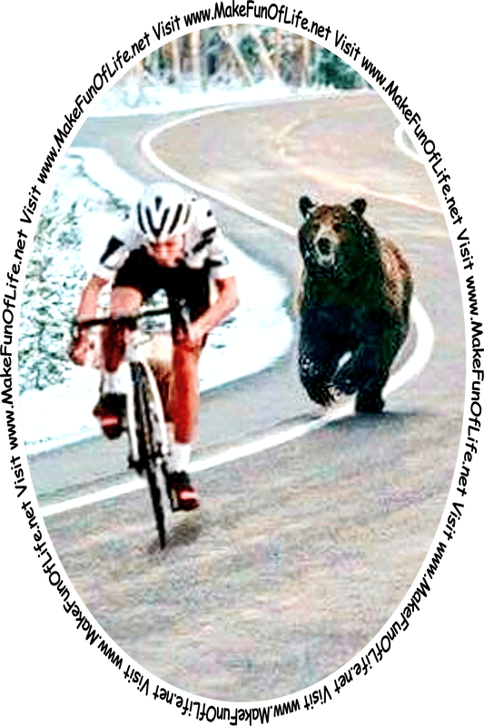 Picture of a man riding a bicycle in warm weather clothes on a cold Winter day, down a winding two-lane road, with fallen snow and evergreen trees along the sides of the road, with a large bear chasing him, and the words, ‘Visit www.MakeFunOfLife.net.’