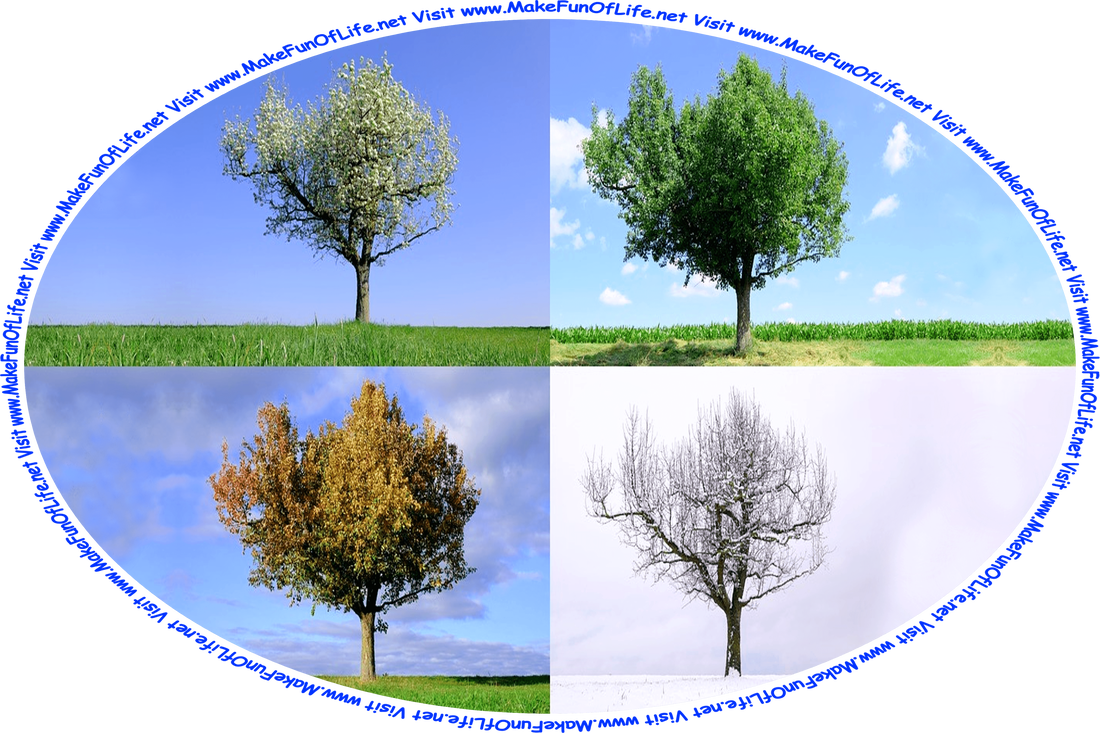 Four photographs of the same tree, with a picture taken during the Spring with white blossoms, Summer with green leaves, Autumn with green-red-orange-yellow leaves, and Winter with no leaves and snow-covered branches, and the words, ‘Visit www.MakeFunOfLife.net.’