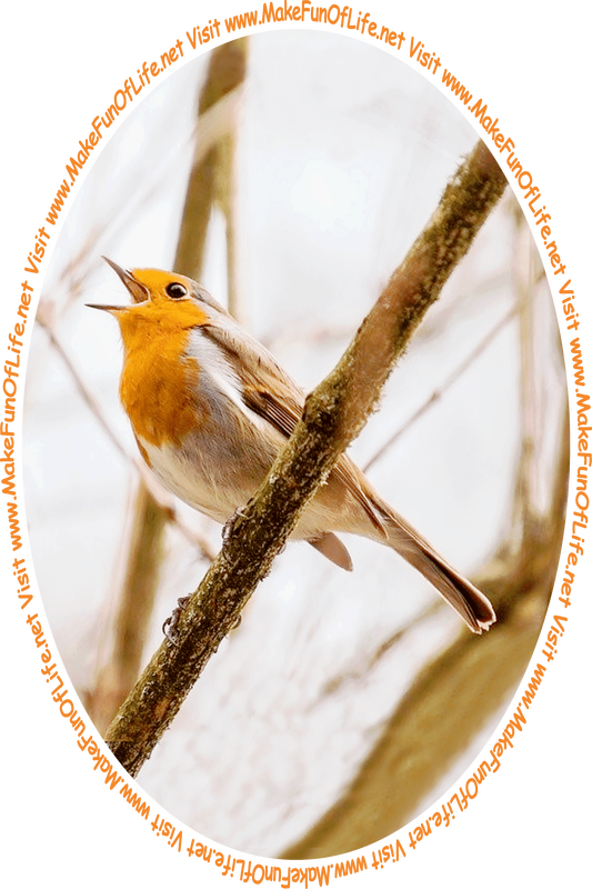 Picture in Autumn of the year of a European Robin perched on a tree branch with its beak open while singing under an overcast sky, and the words, ‘Visit www.MakeFunOfLife.net.’
