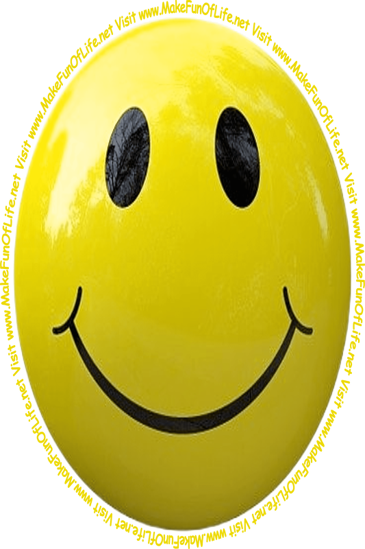 Picture of a smiley face and the words, ‘Visit www.MakeFunOfLife.net.’