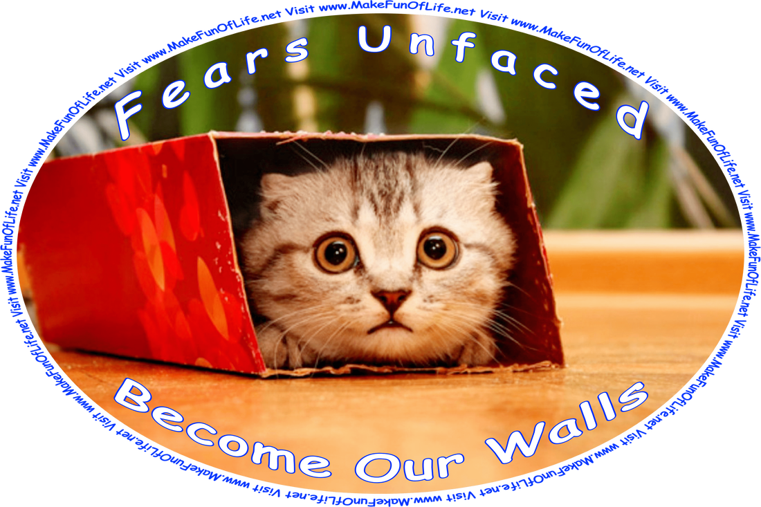 Picture of a frightened-looking kitten peering out from inside a cardboard box, and the words, ‘“Fears unfaced become our walls.” -Author Unknown - Visit www.MakeFunOfLife.net.’
