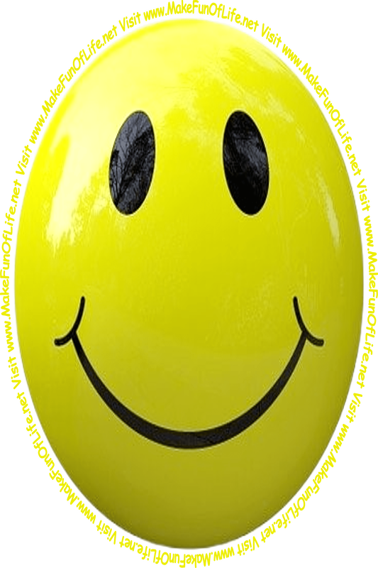 Picture of a yellow smiley face and the words, 'Visit www.MakeFunOfLife.net.'