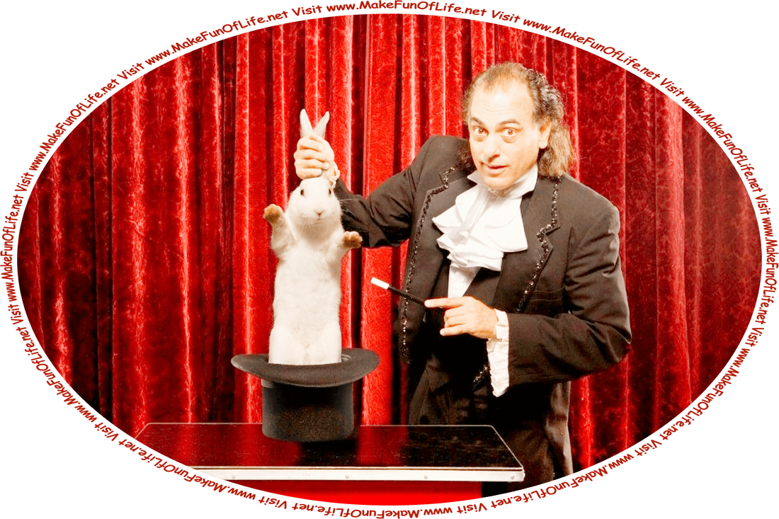 Picture of a magician holding a magic wand in one hand as he pulls a rabbit out of a magic hat with the other hand, and the words, ‘Visit www.MakeFunOfLife.net.’