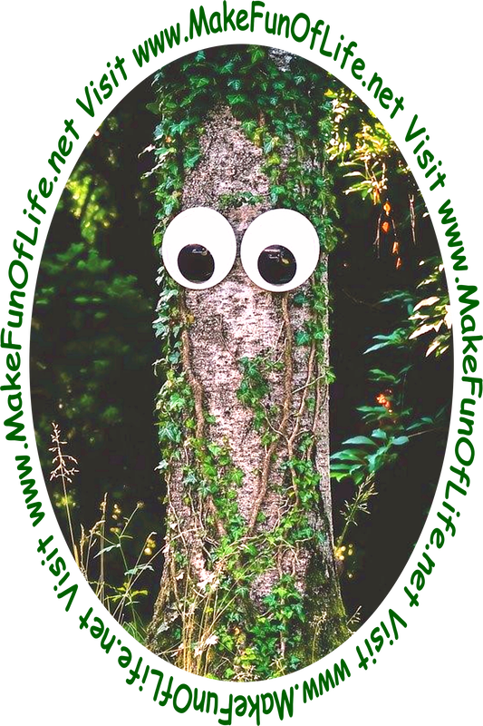 Picture of a tree trunk with green leafy climbing ivy growing on it and a pair of whimsical plastic googly eyes attached to it.