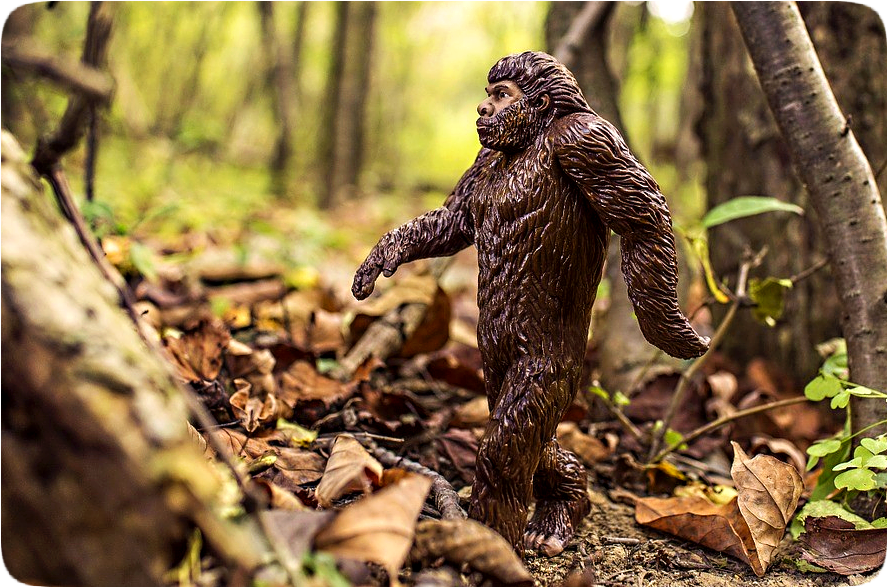 Picture of a Bigfoot toy posable action figure walking through the wilderness.