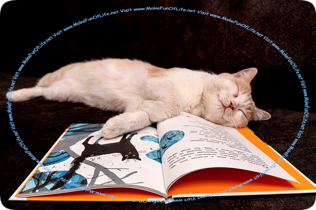 Picture of a domestic cat that has fallen asleep while appearing to have been reading an open book that has a picture of a cat on one of its pages.