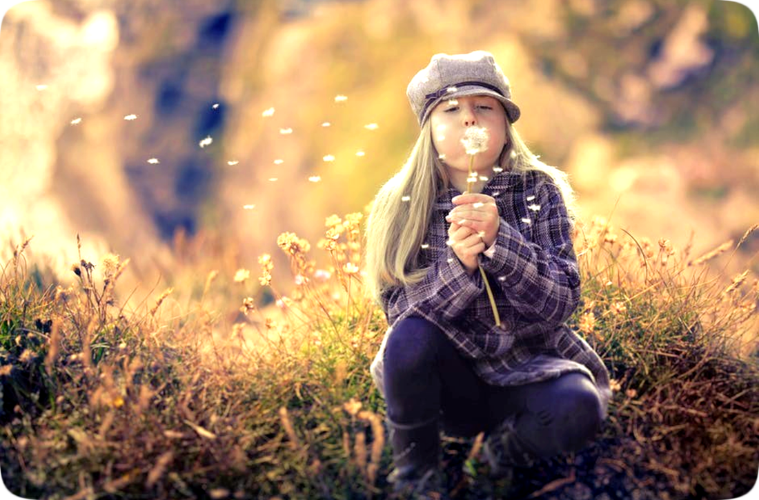 Picture of a girl blowing fluffy dandelion seed tufts into the breeze