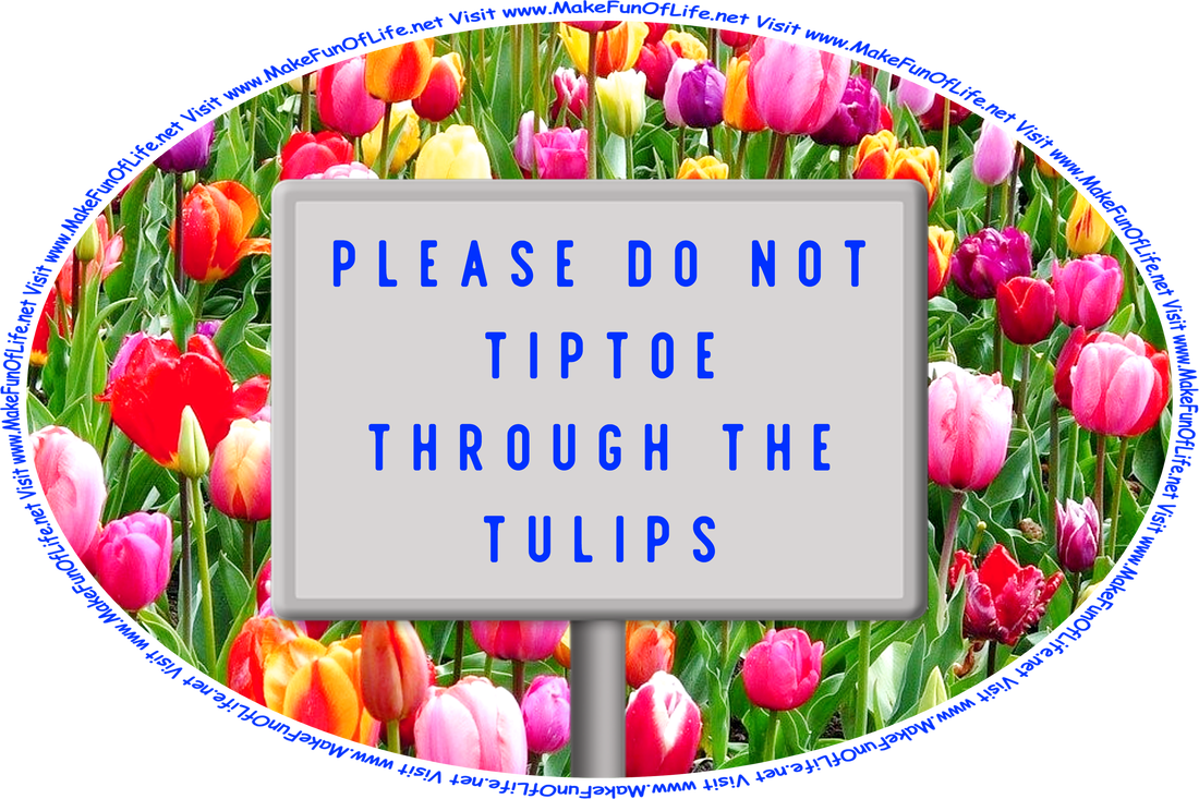 Picture of a sign reading, ‘Please Do Not Tiptoe Through The Tulips’ in a field of brightly colored tulip flowers with pink and red and orange and maroon blossoms and dark green leaves, and the words, ‘Visit www.MakeFunOfLife.net.’