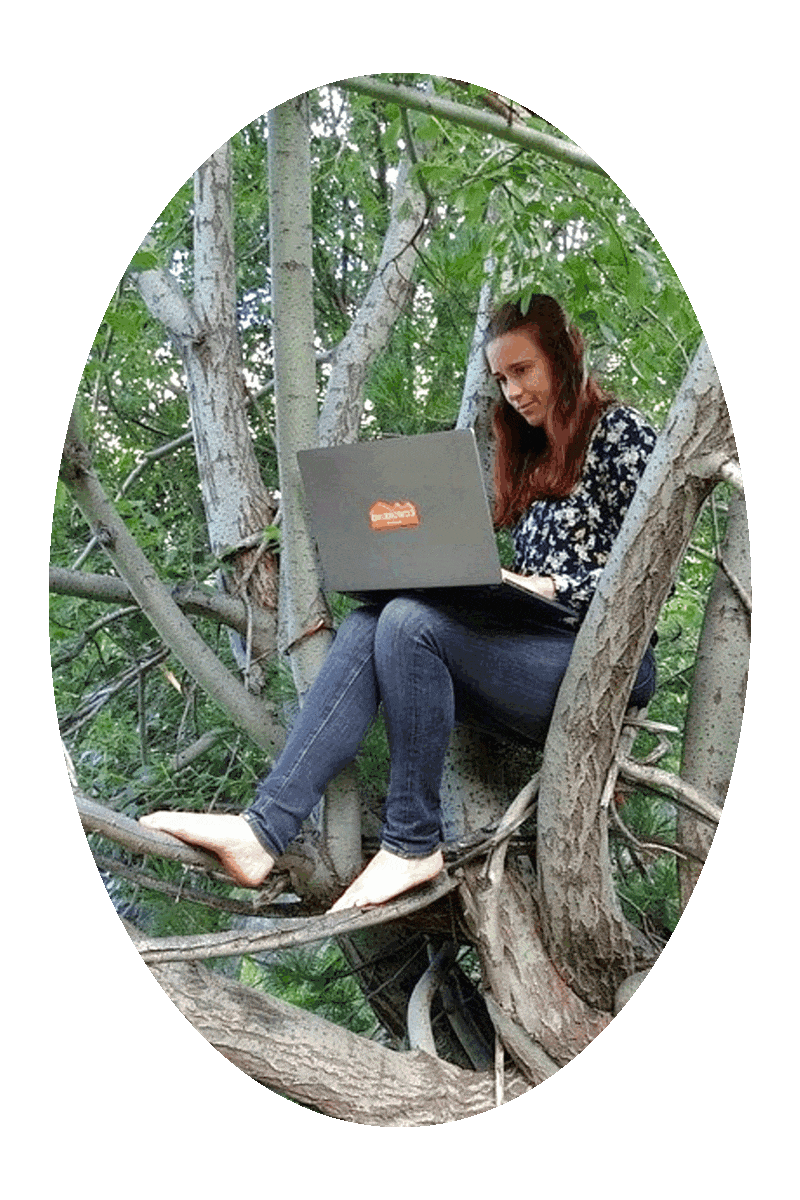 Picture of a woman sitting in a tree and looking at a laptop computer.