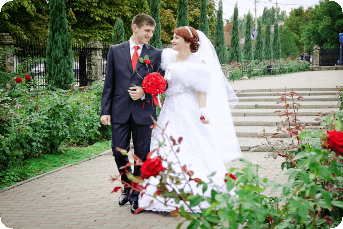 Picture of a happy smiling groom in a blue suit, white shirt, and red necktie, and a happy smiling bride in a white dress, walking down a path past rose bushes with red roses.