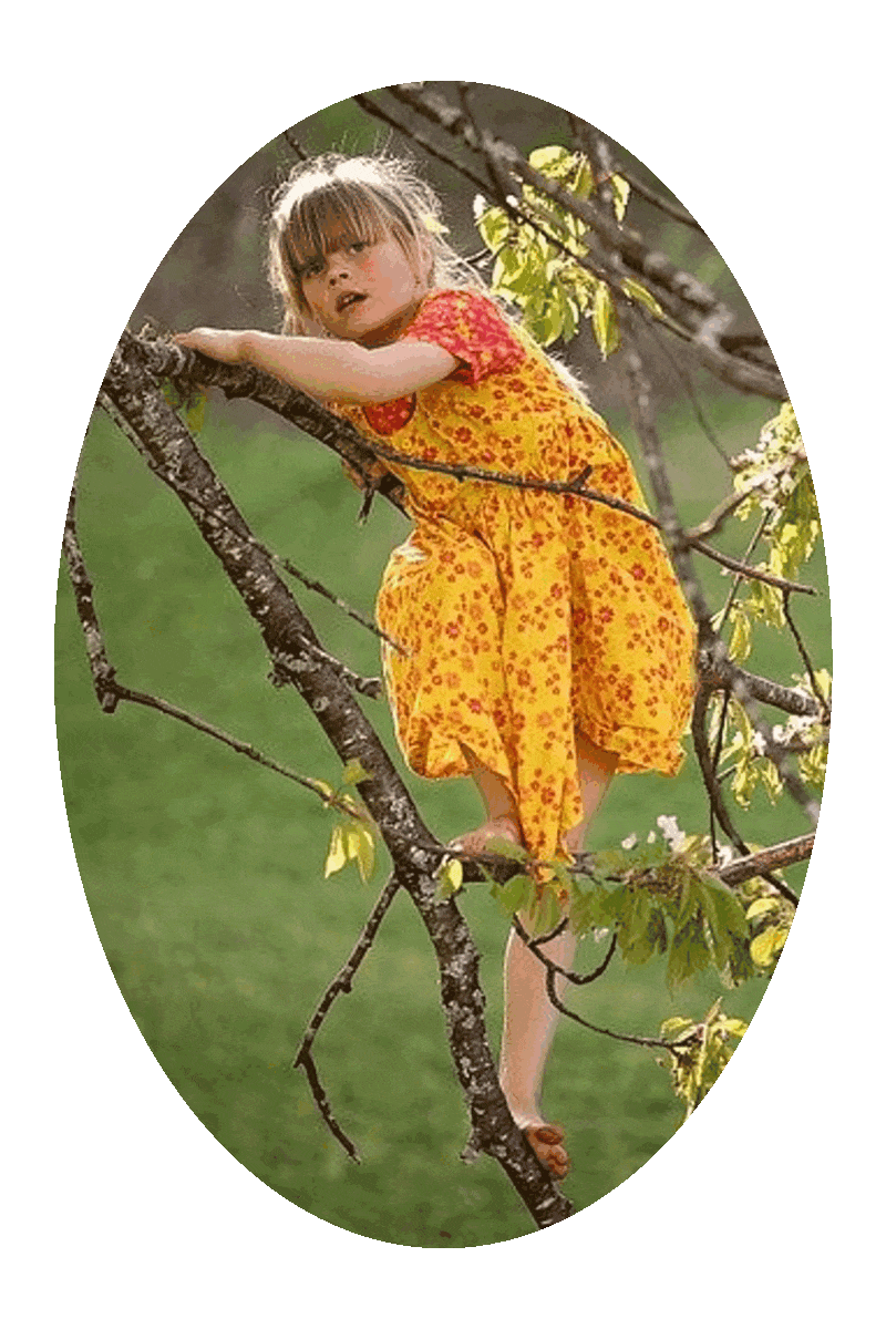 Picture of a girl climbing a tree.