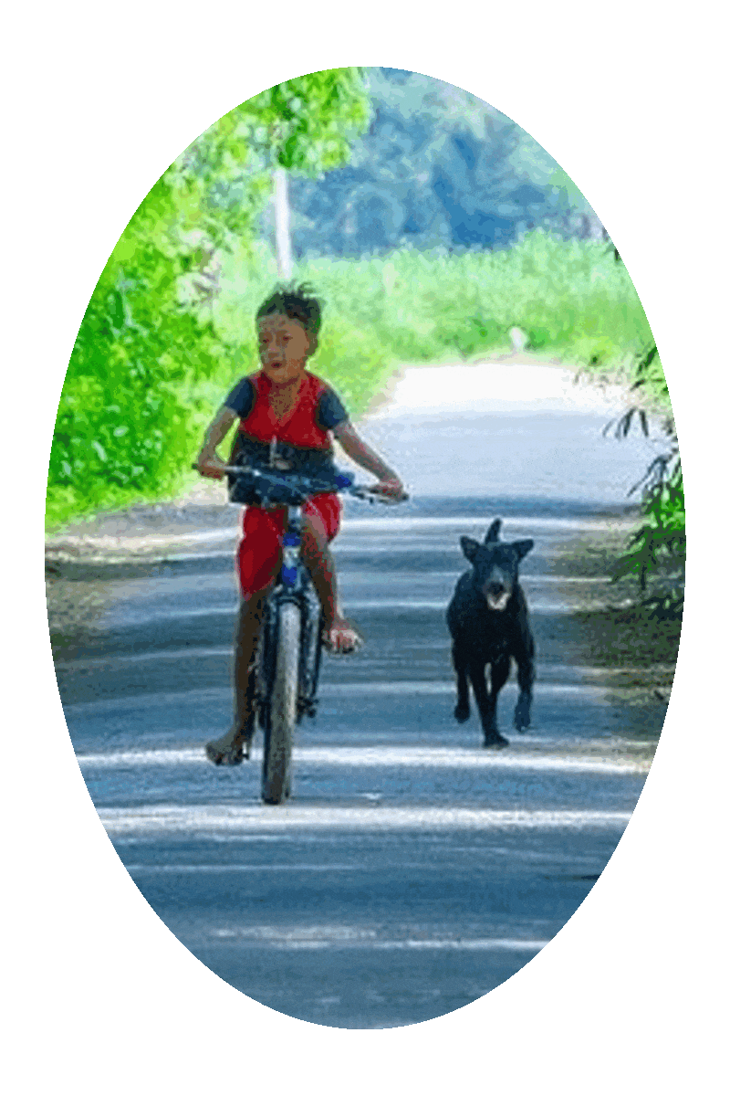 Picture of a boy riding a bicycle with his pet dog running alongside him.