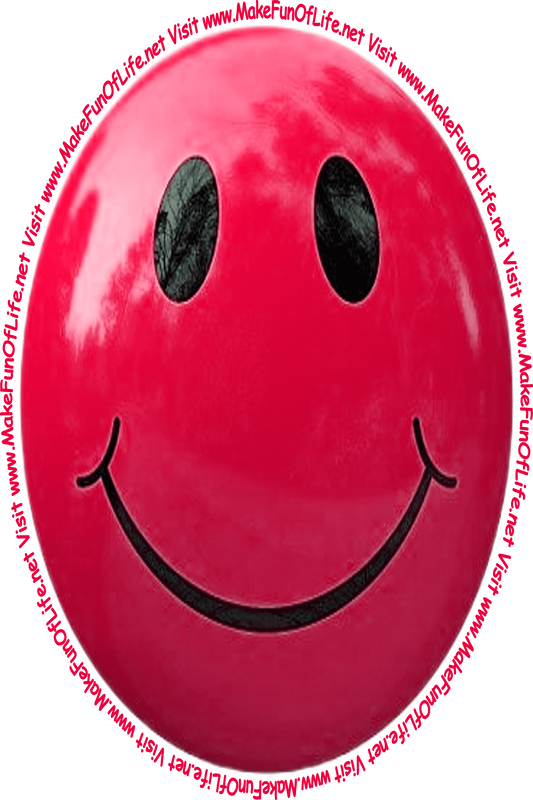 Picture of a red smiley face and the words, 'Visit www.MakeFunOfLife.net.'