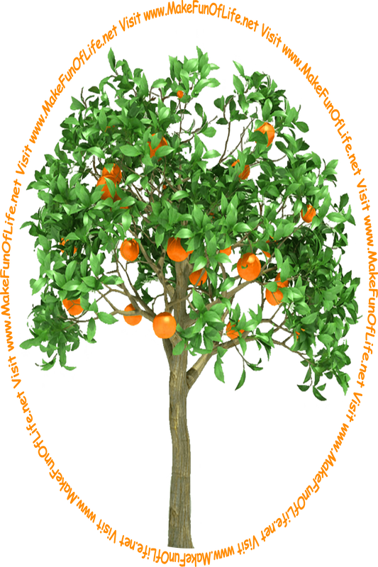 Picture of a leafy green citrus fruit tree with bright oranges hanging from its branches and the words, 'Visit www.MakeFunOfLife.net.'