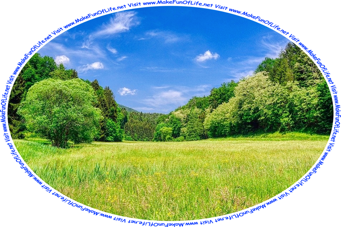 Picture of a meadow with flowering plants and green grass, green leafy trees on each side, and a blue sky with tiny white fluffy clouds, and the words, ‘Visit www.MakeFunOfLife.net.’