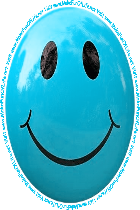 Picture of a light blue smiley face and the words, 'Visit www.MakeFunOfLife.net.'