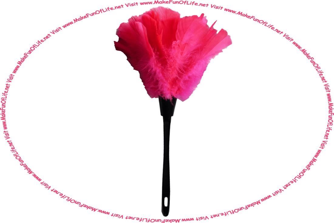 Picture of a feather duster, and the words, ‘Visit www.MakeFunOfLife.net.’