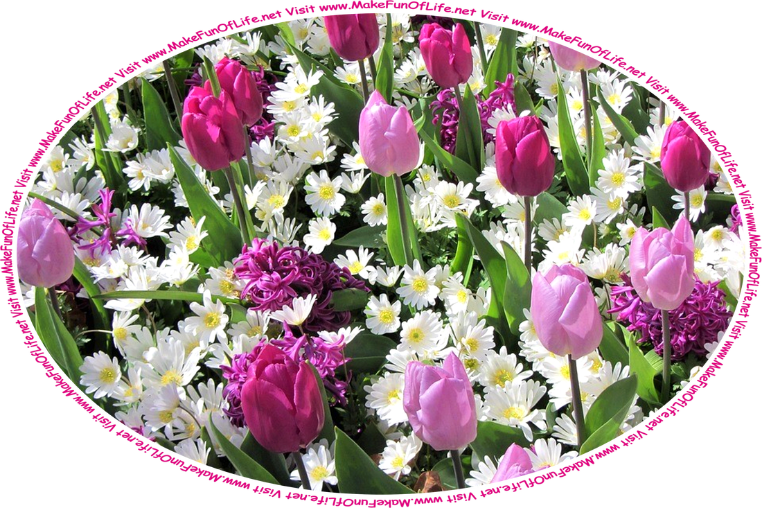 Picture of lavender tulip flowers and white daisy flowers with dark green leaves, and the words, ‘Visit www.MakeFunOfLife.net.’