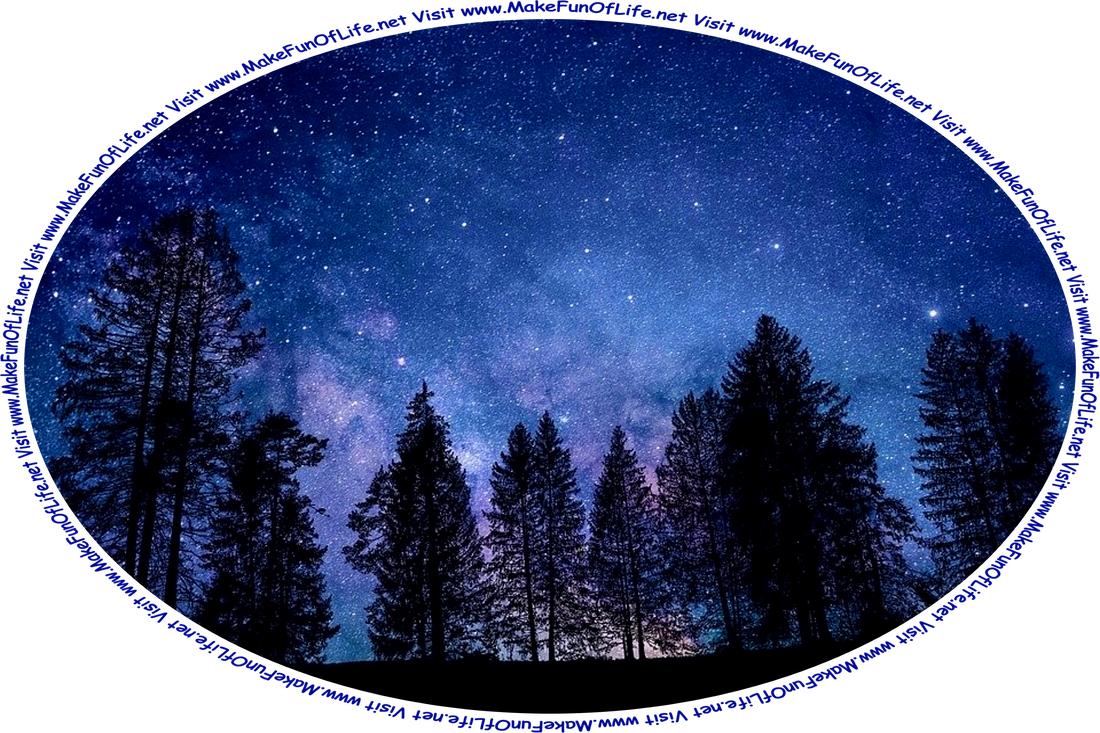 Picture of a wilderness area, with tall evergreen trees, a star-filled night sky overhead, and the words, ‘Visit www.MakeFunOfLife.net.’