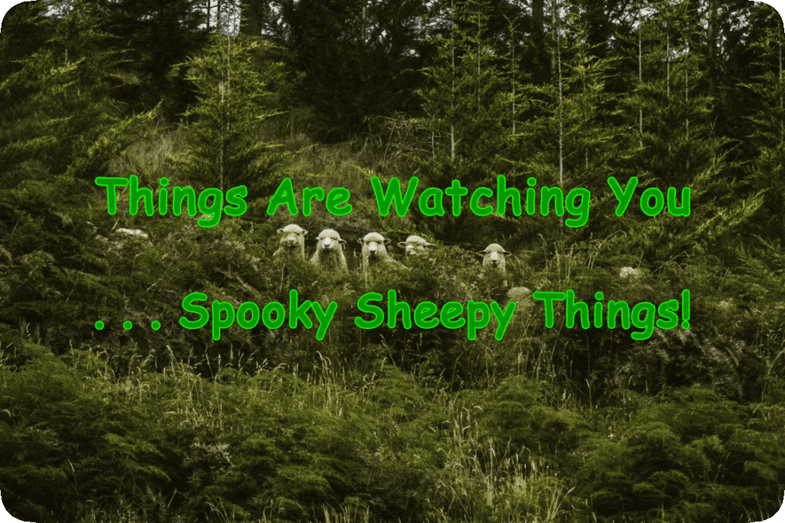 Picture of five sheep peering out from a dark forest that is thick with evergreen trees and the words, ‘Things Are Watching You . . . Spooky Sheepy Things!’