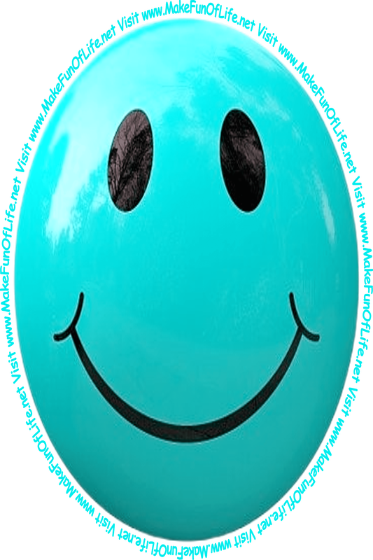 Picture of a powder-blue smiley face and the words, 'Visit www.MakeFunOfLife.net.'