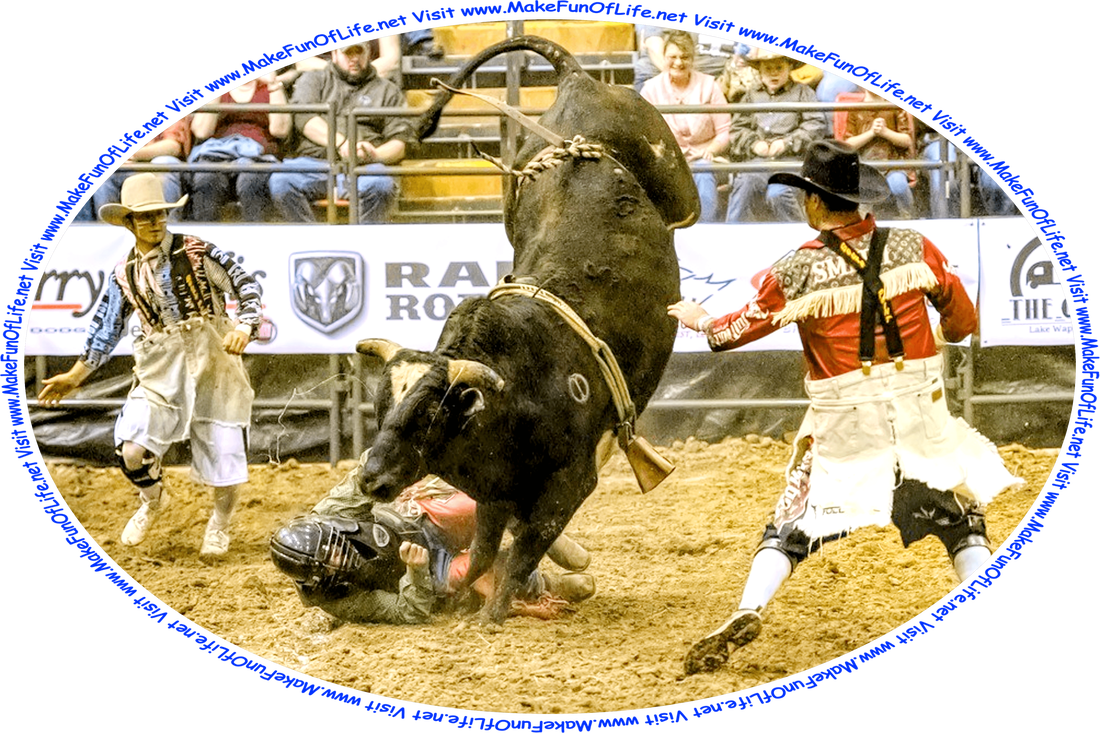 Picture of 2 rodeo clowns attempting to distract a bull so the rider it just threw off its back can try to get up off the ground and make a run for safety, and the words, ‘Visit www.MakeFunOfLife.net.’