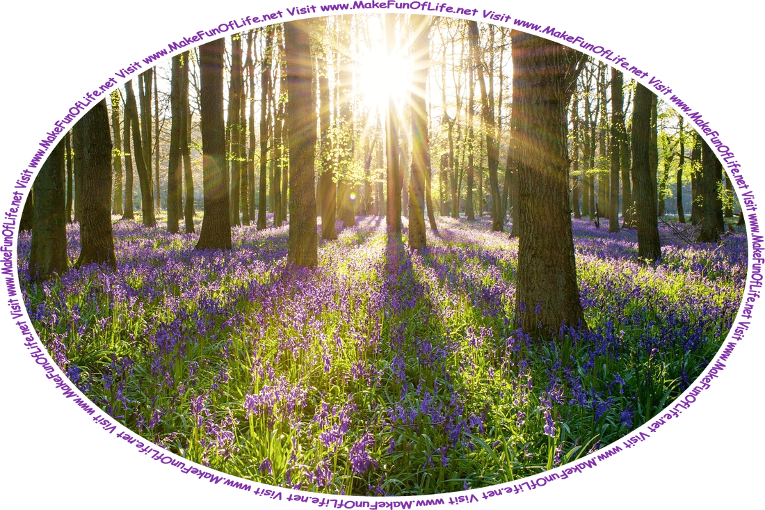 Picture of a forest of tall trees and the forest floor covered with bluebells with green leaves and lavender blossoms, the Sun shining brightly between tree trunks, and the words, ‘Visit www.MakeFunOfLife.net.’