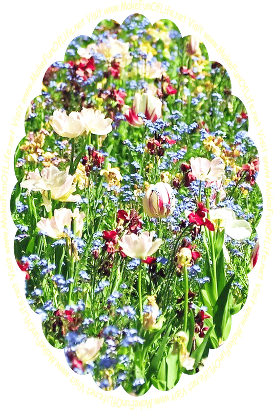 Picture of assorted flowering plants with dark green leaves and blossoms in colors including deep red, blue, and chiffon yellow, and the words, ‘Visit www.MakeFunOfLife.net.’