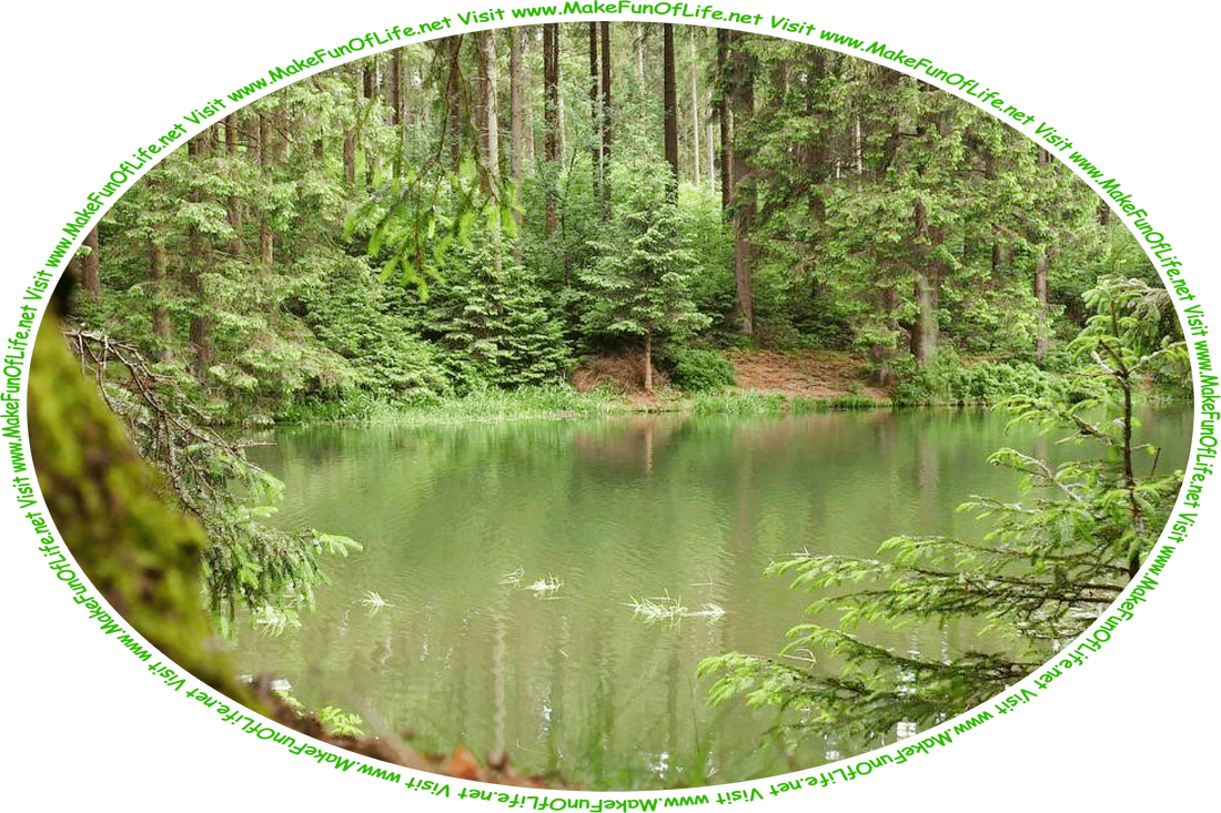 Picture of one end of a lake, surrounded by evergreen trees, green grass, other green leafy plants in a dense forest, and the words, ‘Visit www.MakeFunOfLife.net.’