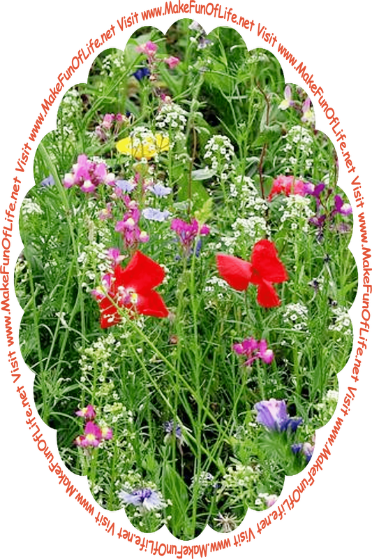 Picture of assorted flowering plants with various colors of blossoms, and the words, ‘Visit www.MakeFunOfLife.net.’