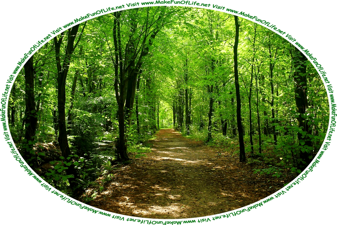 Picture of a dirt path through a dense woods of tall thin green leafy trees, and the words, ‘Visit www.MakeFunOfLife.net.’