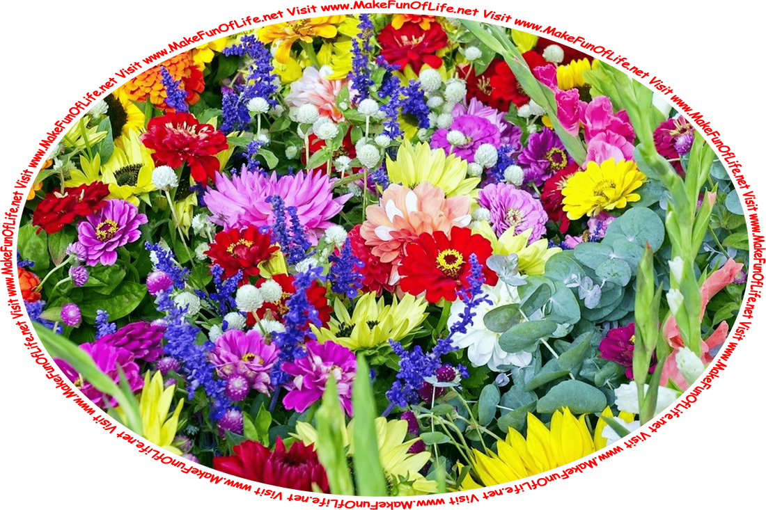 Picture of a variety of brightly colored flower blossoms, and the words, ‘Visit www.MakeFunOfLife.net.’