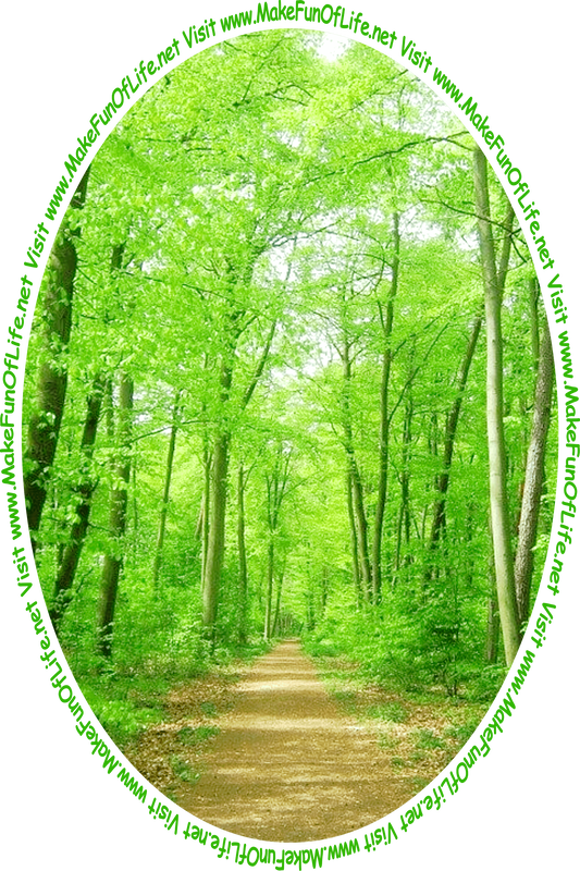 Picture of a dirt footpath in a woods of tall green leafy trees, and the words, ‘Visit www.MakeFunOfLife.net.’