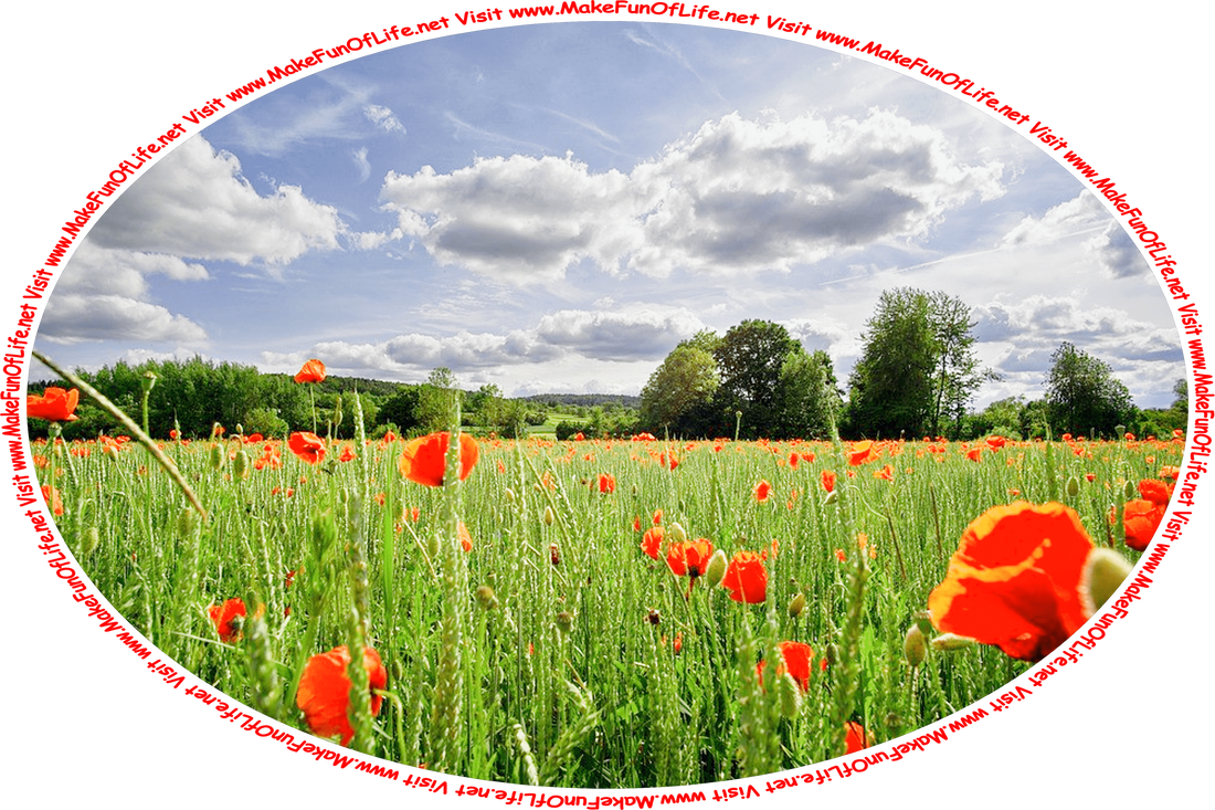 Picture of a large field of green wheat plants mixed with poppies with red blossoms, green leafy trees in the distance, a blue sky with large fluffy white clouds, and the words, ‘Visit www.MakeFunOfLife.net.’
