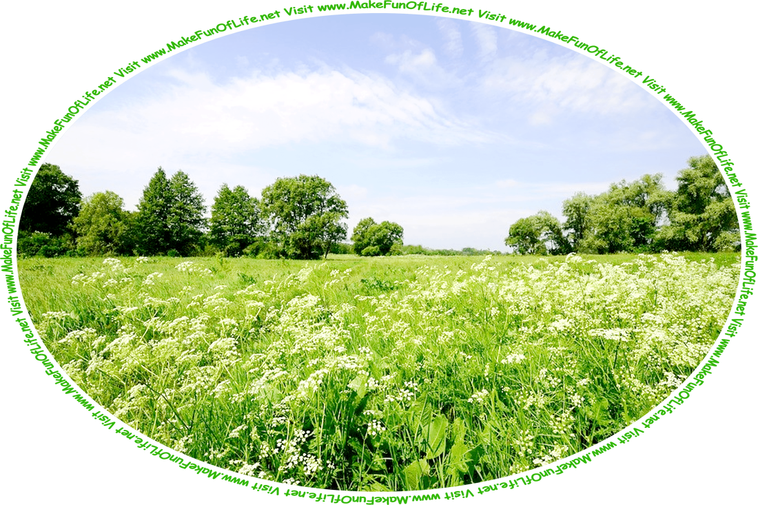 Picture of a field of flowering plants with white blossoms, green leafy trees in the distance, a hazy blue sky above, and the words, ‘Visit www.MakeFunOfLife.net.’