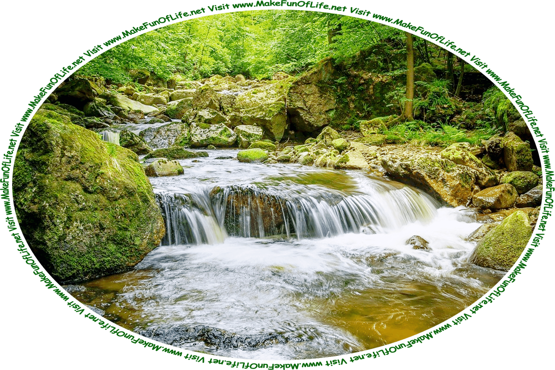 Picture of a river flowing through a dense wilderness of leafy green trees, with green moss-covered rocks in and on the banks of the river, and the words, ‘Visit www.MakeFunOfLife.net.’