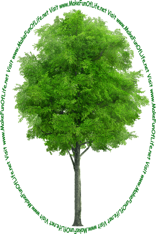 Picture of a green leafy tree and the words, ‘Visit www.MakeFunOfLife.net.’