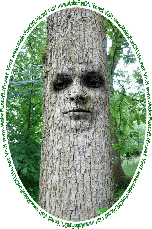 Picture of a tree trunk with a face on it looking at the words and pictures on the website, and the words, ‘Visit www.MakeFunOfLife.net.’